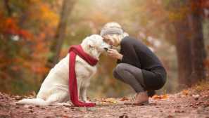 5 Съвета, за да се установи доверие с вашия домашен любимец